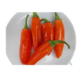 Hectarul - Seminte de ardei portocaliu Oranjevi Ribki, 2 grame FLORIAN